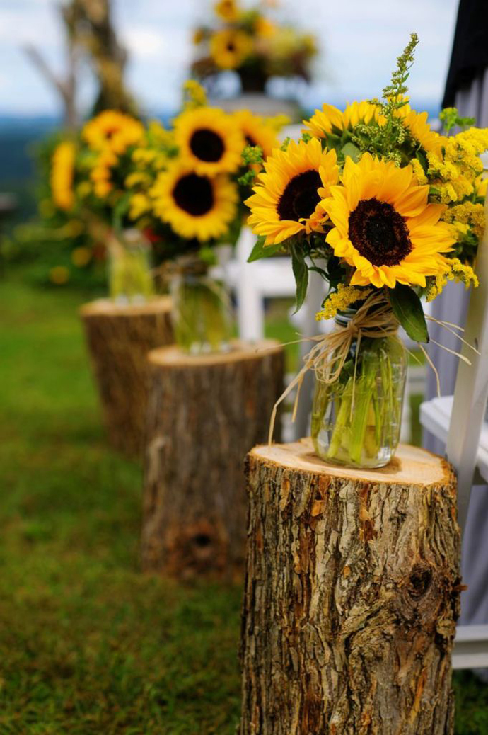 floarea soarelui-nunta in gradina (16)
