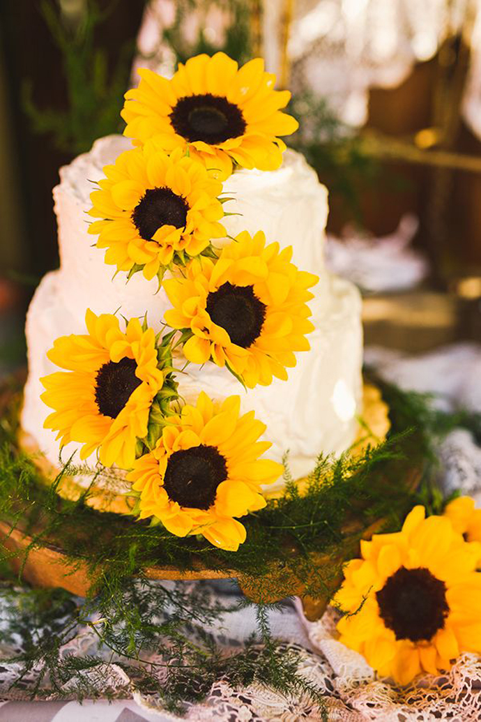 floarea soarelui-nunta in gradina (18)
