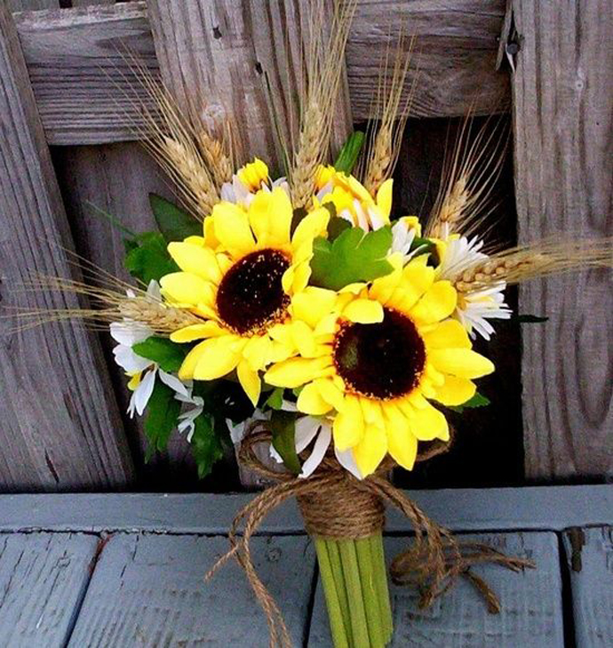 floarea soarelui-nunta in gradina (17)