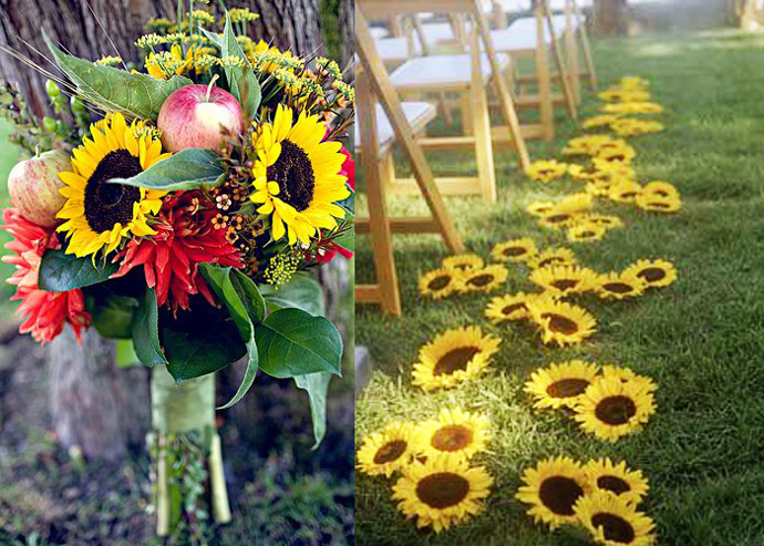 floarea soarelui-nunta in gradina (20)