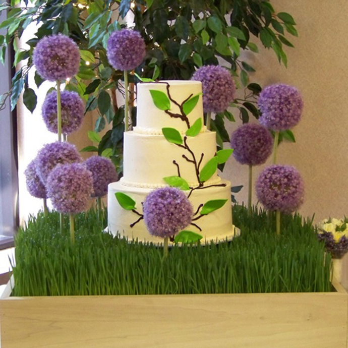Purple alliums-nunta in gradina (10)