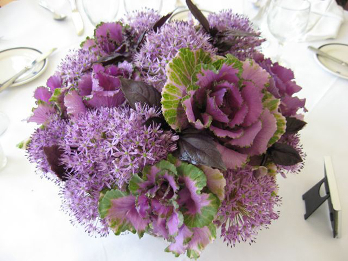 Purple alliums-nunta in gradina (12)