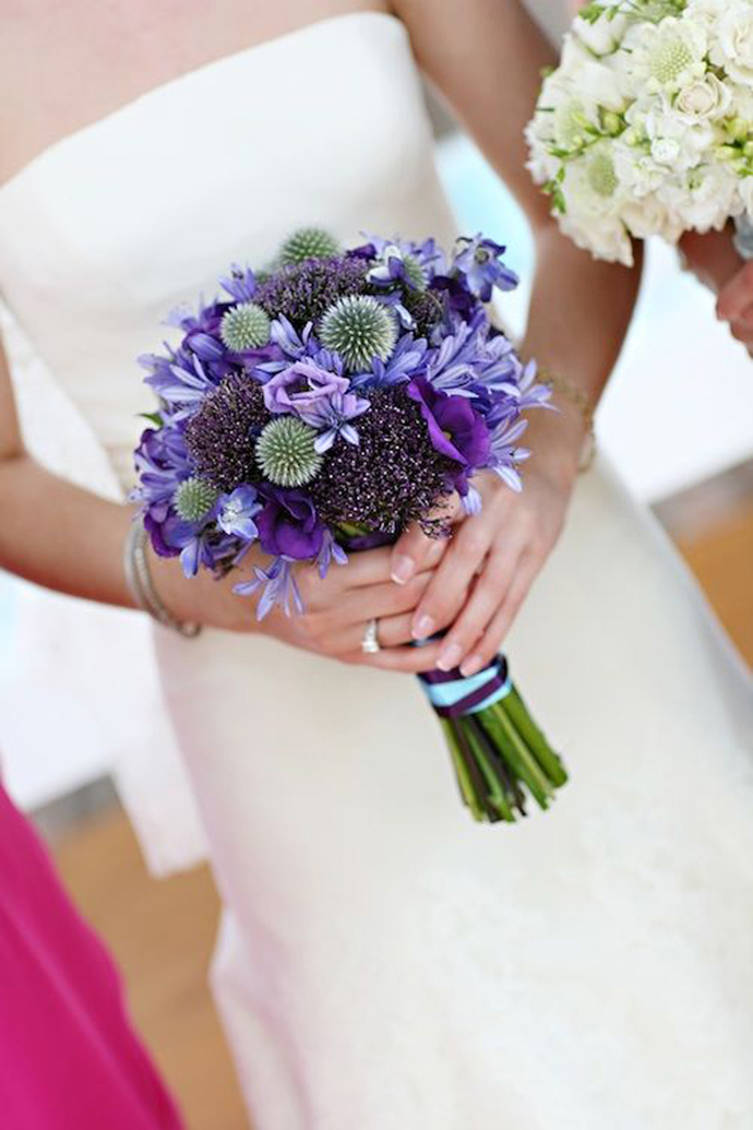 Purple alliums-nunta in gradina (6)